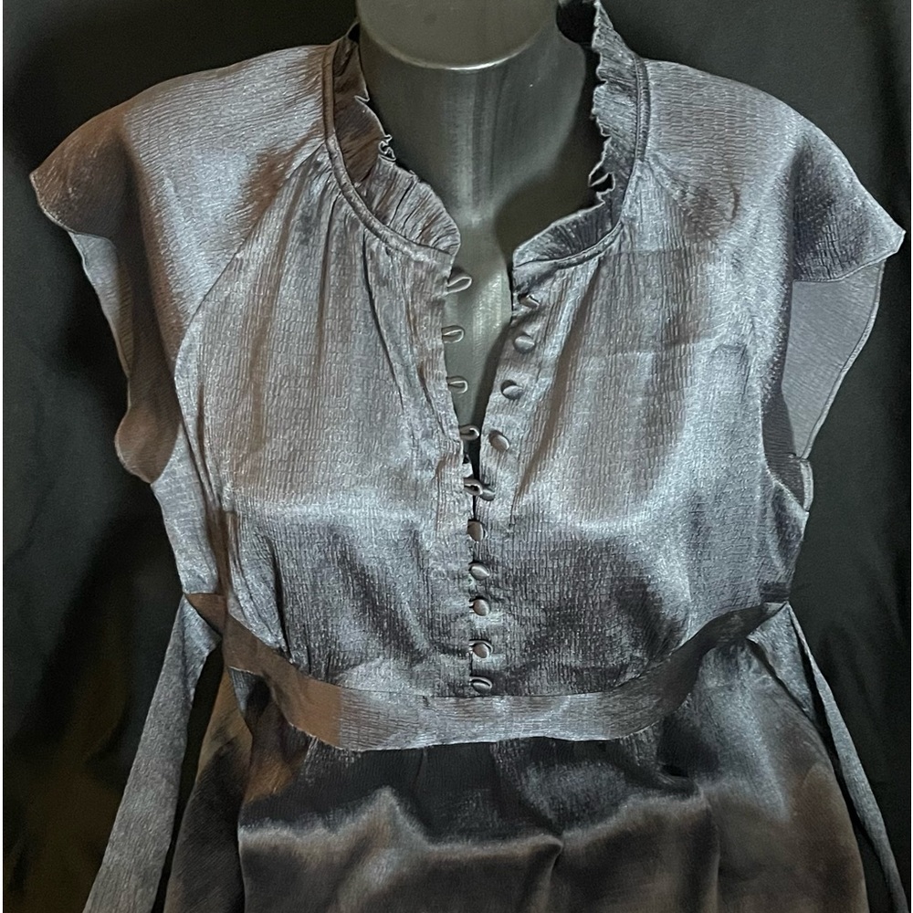 Silver/ grey blouse. Never worn.